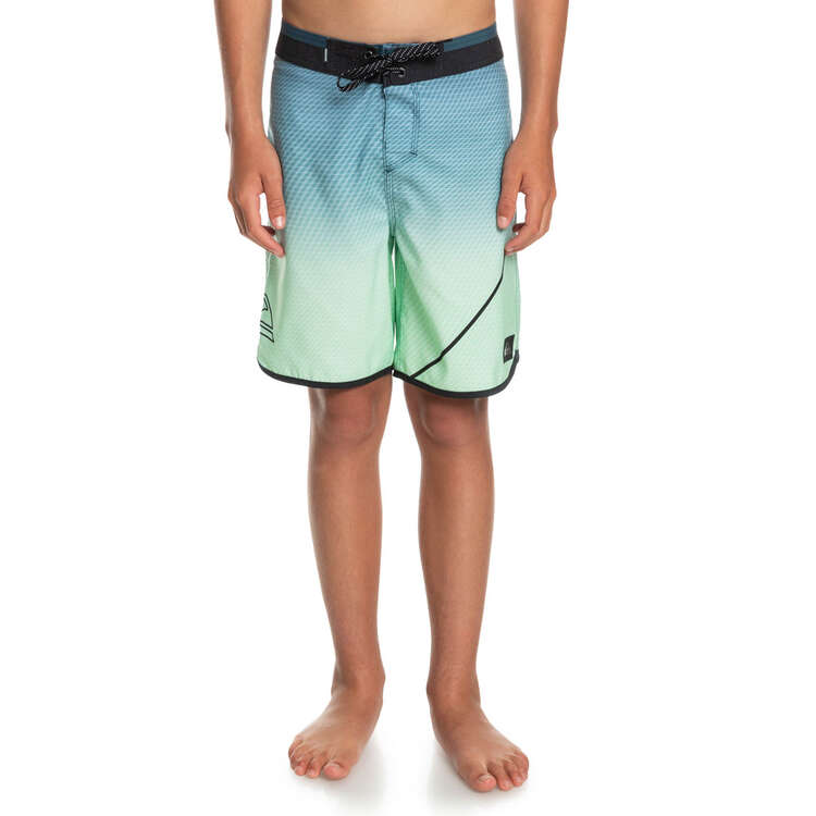 Quiksilver Boys Everyday New Wave 17 Board Shorts, Green, rebel_hi-res