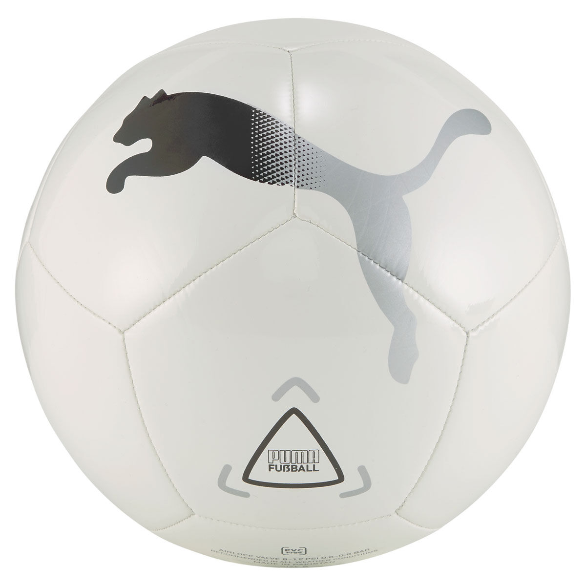 Puma Icon Soccer Ball | Rebel Sport