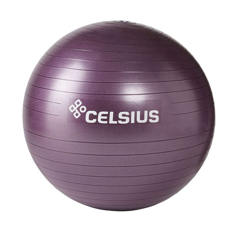 Celsius Fit Ball 65cm, , rebel_hi-res