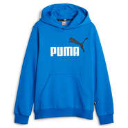 Puma Kids Essential Plus 2 Colour Big Logo Hoodie, , rebel_hi-res