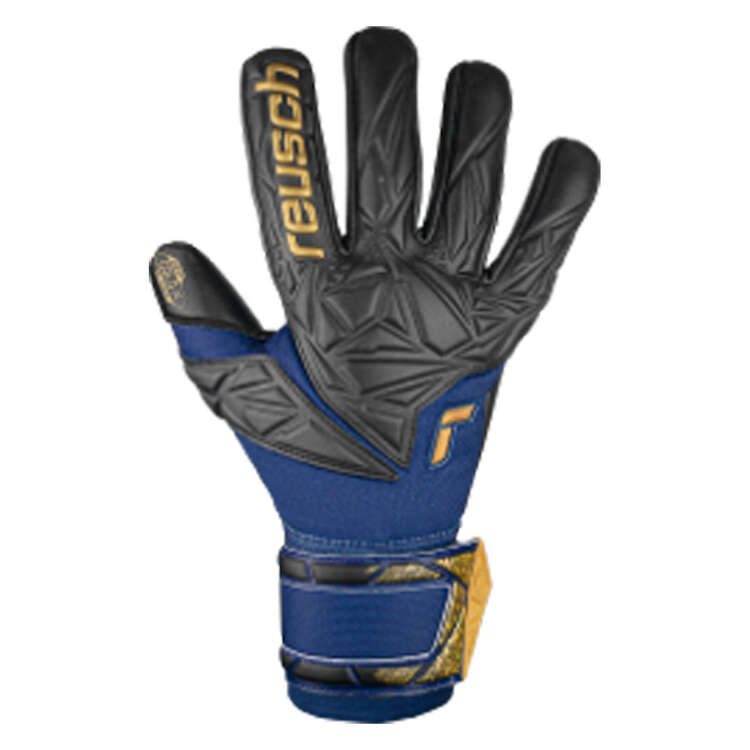 Reusch Attrakt Gold X NC Goalkeeper Gloves, Blue, rebel_hi-res