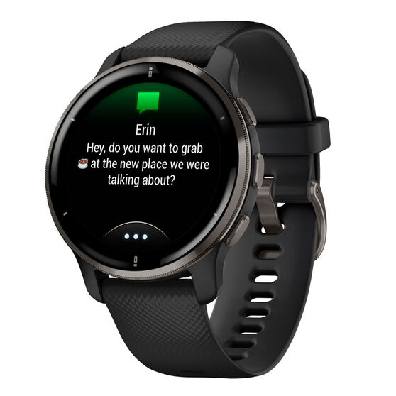 Garmin Venu 2 Plus Smartwatch - Black Slate, , rebel_hi-res