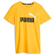 Puma Junior Kids Essential Plus 2 Logo Tee, , rebel_hi-res