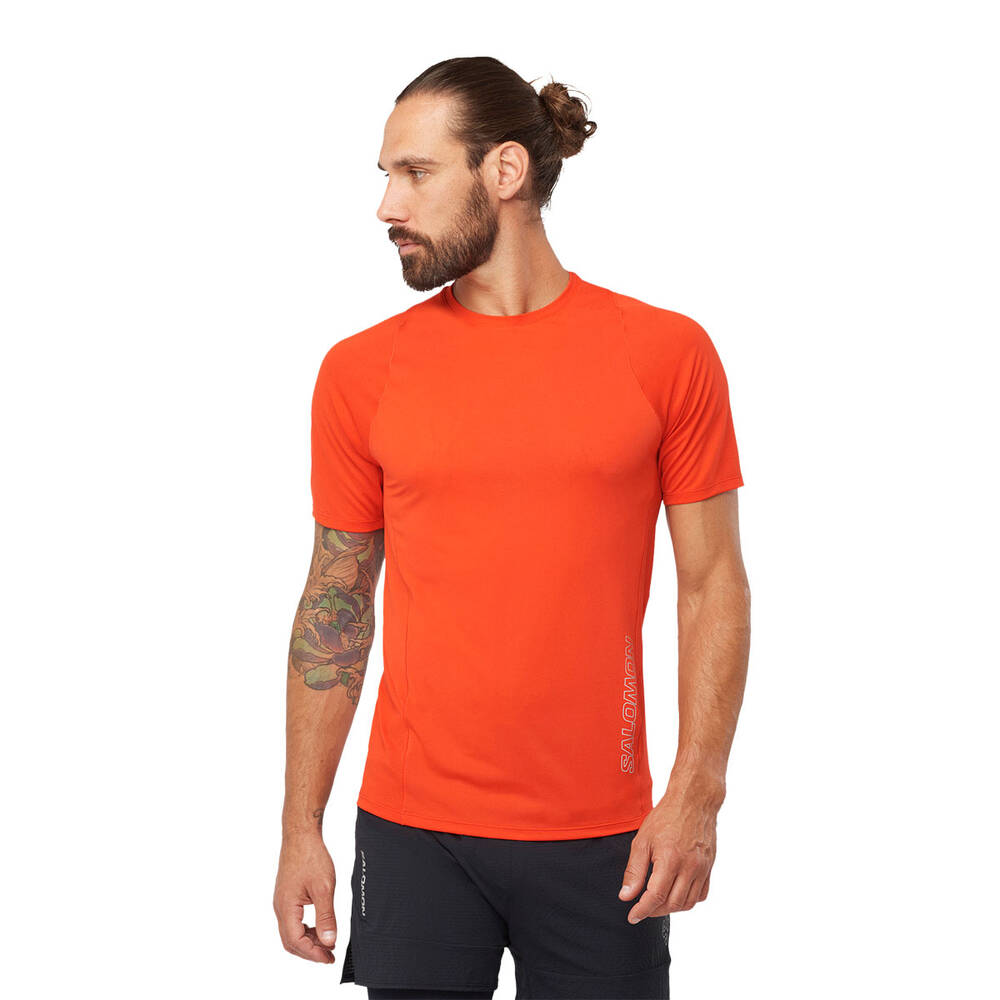 Detroit Tigers Fanatics Branded Women's Core Official Logo V-Neck T-Shirt -  Orange
