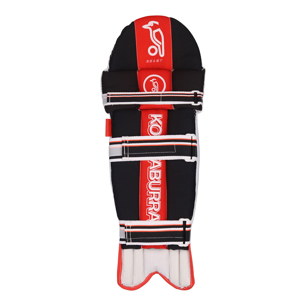 Rebel sport cricket pads hotsell